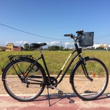 An example of the Bikealao City Bike M